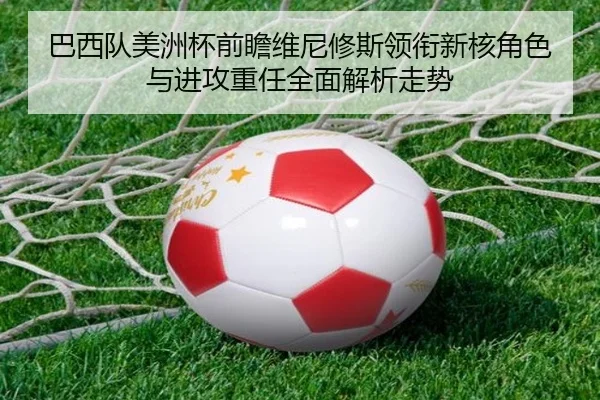 img_1782117904405_88_1_910.jpg