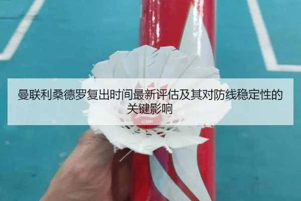 曼联利桑德罗复出时间最新评估及其对防线稳定性的关键影响