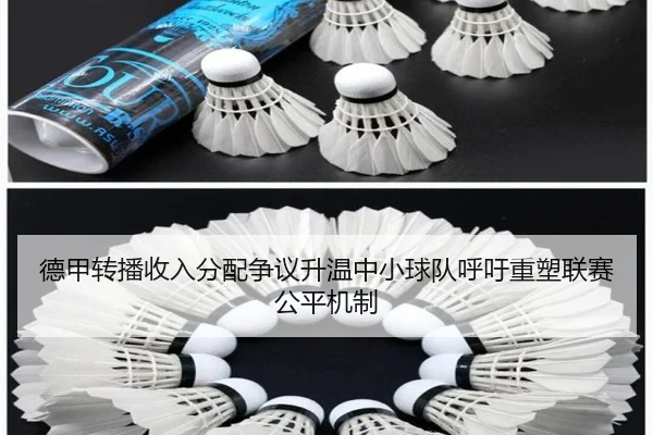 德甲转播收入分配争议升温中小球队呼吁重塑联赛公平机制